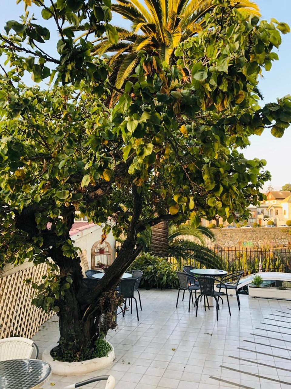 Hotel 251 Βίνα Ντελ Μαρ Εξωτερικό φωτογραφία