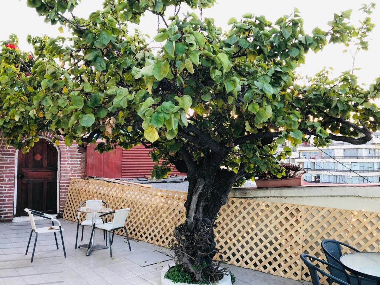 Hotel 251 Βίνα Ντελ Μαρ Εξωτερικό φωτογραφία